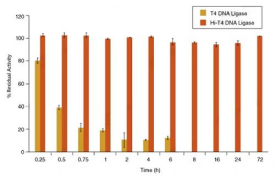 NEB DNA連接酶 -重組T4 DNA連接酶、T4快速連接酶、T7 DNA連接酶