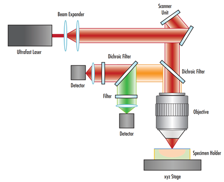 圖 5的線條圖示說明