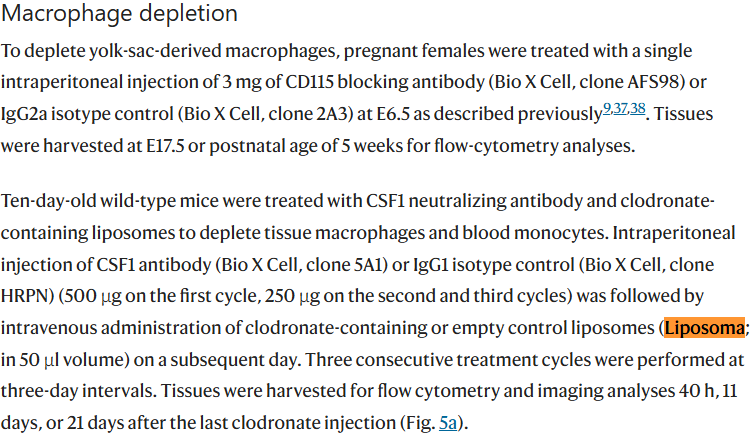image.png 睾丸发育过程中巨噬细胞的产生、定位及功能