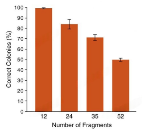 NEB無縫(feng)克隆 --同(tong)源(yuan)重(zhong)組(zu)Gibson組(zu)裝、Golden Gate 組(zu)裝