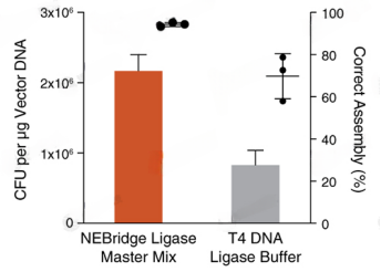 NEB無縫(feng)克隆 --同(tong)源(yuan)重(zhong)組(zu)Gibson組(zu)裝、Golden Gate 組(zu)裝