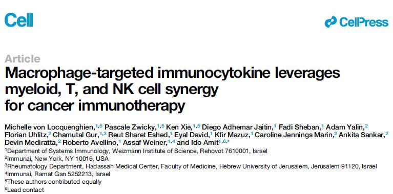 《Cell》：TREM2+腫瘤相關(guān)巨噬細(xì)胞（TAM）靶向免疫細(xì)胞因子利用髓系細(xì)胞、T細(xì)胞和NK細(xì)胞的協(xié)同作用進(jìn)行癌癥免疫治療