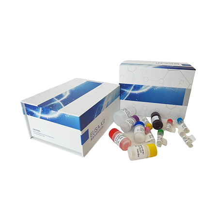 10.jpg 上海研域生物关于2026年元旦放假安排的通知