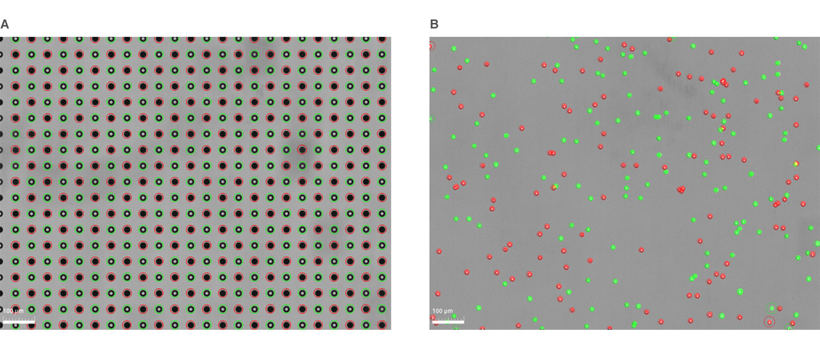 c88fbea5-3e02-406e-a86b-ad69b1e5161c