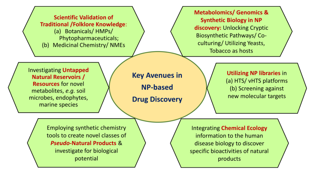 體外合成<font class=