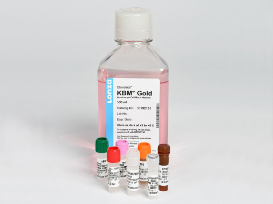 image.png LONZA原代人表皮角质形成细胞NHEK, Human Epidermal Keratinocytes产品介绍