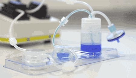 LONZA原代人小气道上皮细胞HSAEC产品介绍