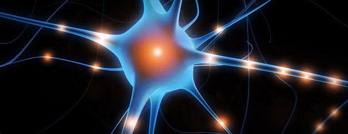 ef3f9be8-7d70-44b1-abc6-bcfad4913d7f.jpg 美國Abbiotec代理商 2026授權代理-上海起發