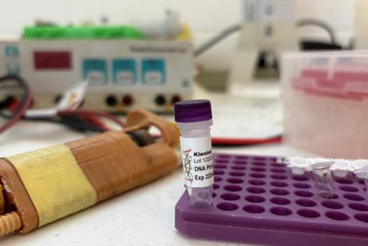 e6148bac-8136-4ec5-9b32-bc36379b0e98.jpg 美國Klentaq代理商 2026授權代理-上海起發