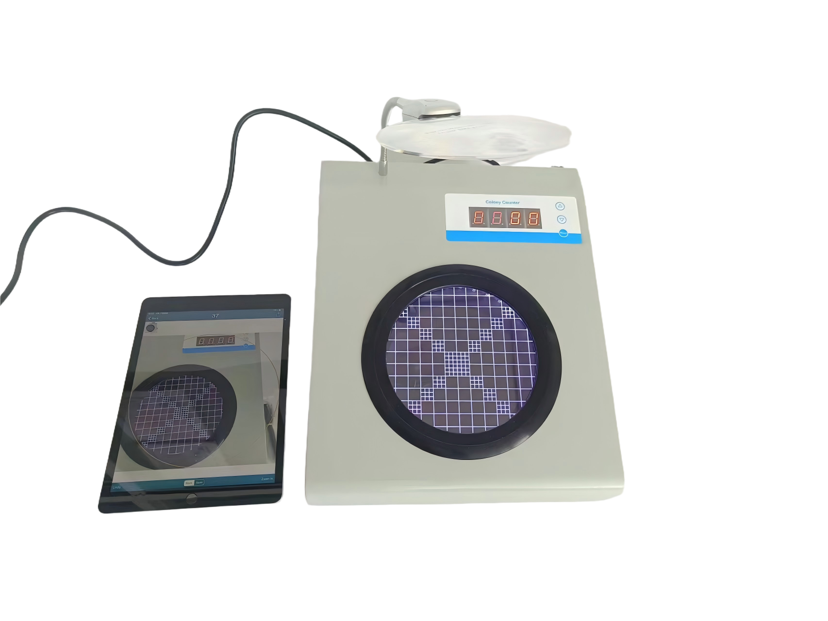 XY-C100 型全自動(dòng)菌落計(jì)數(shù)儀  符合HACCP、GLP、GMP等質(zhì)量體系管理要求