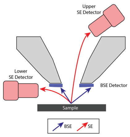 黑白之间的微观真相:扫描电镜与原位SEM如何揭示材料结构与演化
