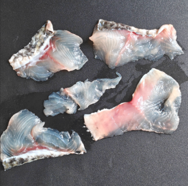 采集魚片光譜數(shù)據(jù)（新鮮度檢測）