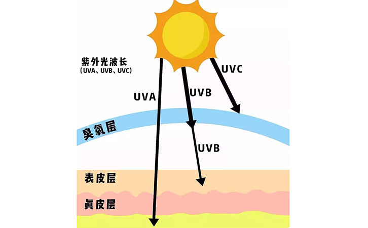 紫外.jpg