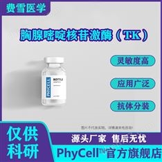 人體蛋白 胸腺嘧啶核苷激酶（TK）