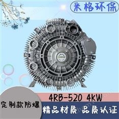 氣環(huán)式高壓風(fēng)機(jī)