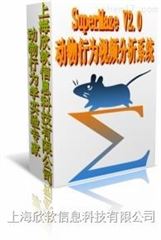 SuperMaze動物行為學視頻分析系統