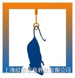 XR-XX203懸尾實驗