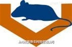 XR-XY211飲水電擊實驗