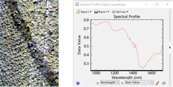 19.jpg Gaiasky-mini-NIR近红外高光谱无人机系统