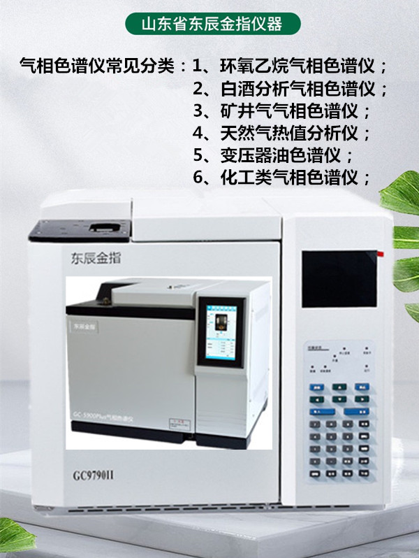 RH-600型便携式气相色谱仪